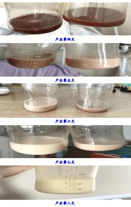 院网站-出现“血奶”不用慌，产后问题问产康519